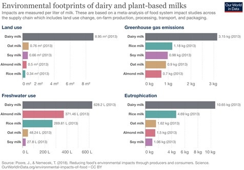 Impact koemelk vs plantaardige melk